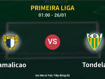 Kết Quả: Famalicao 3-0 Tondela – Highlight & Bàn Thắng | Primeira Liga
