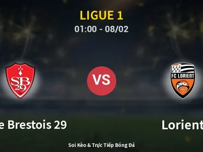 Kết Quả: Stade Brestois 29 2-0 Lorient – Highlight & Bàn Thắng | Ligue 1