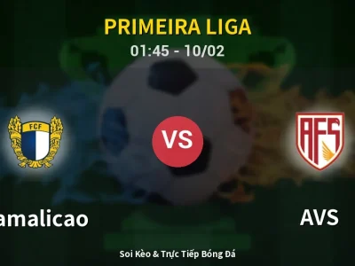 Kết Quả: Famalicao 3-1 AVS – Highlight & Bàn Thắng | Primeira Liga