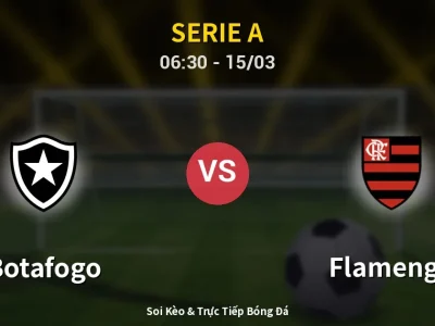 Kết Quả: Botafogo 0-3 Flamengo – Highlight & Bàn Thắng | Serie A